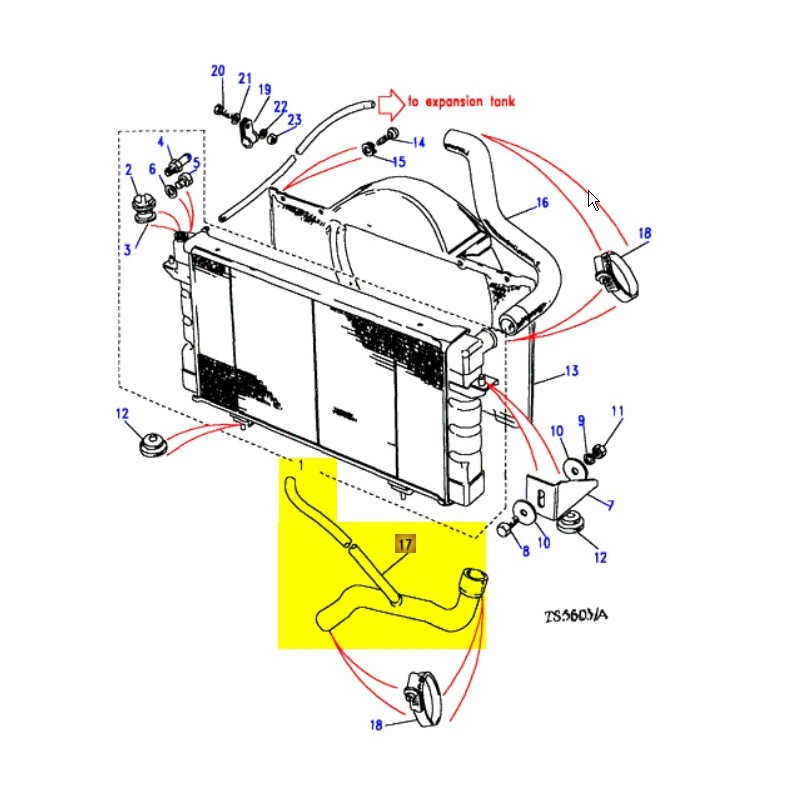 Tuyau refroidissement inférieur V8 - Disco1 & RRC