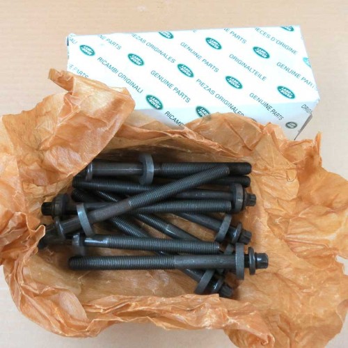 Set cylinder Head Bolt - TD4