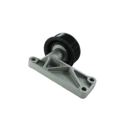 Support et poulie de renvoi pour TD5