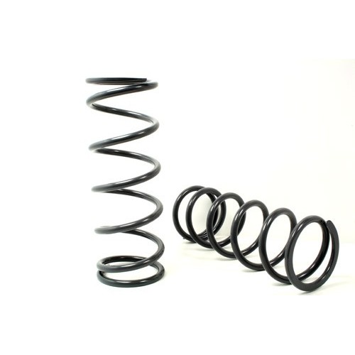 Coil springs rear Def110 - light load