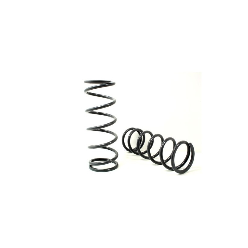 Coil springs rear Def110 - light load