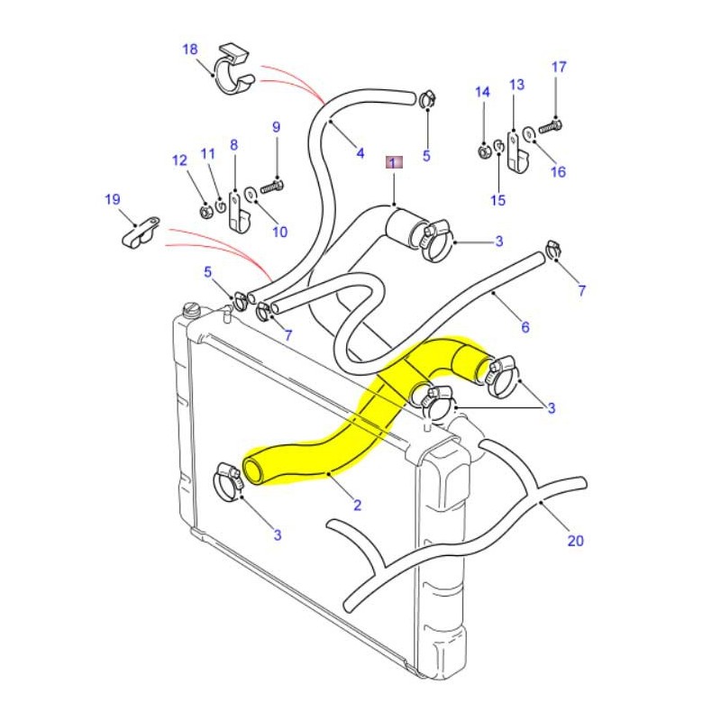 Tuyau refroidissement inférieur - V8