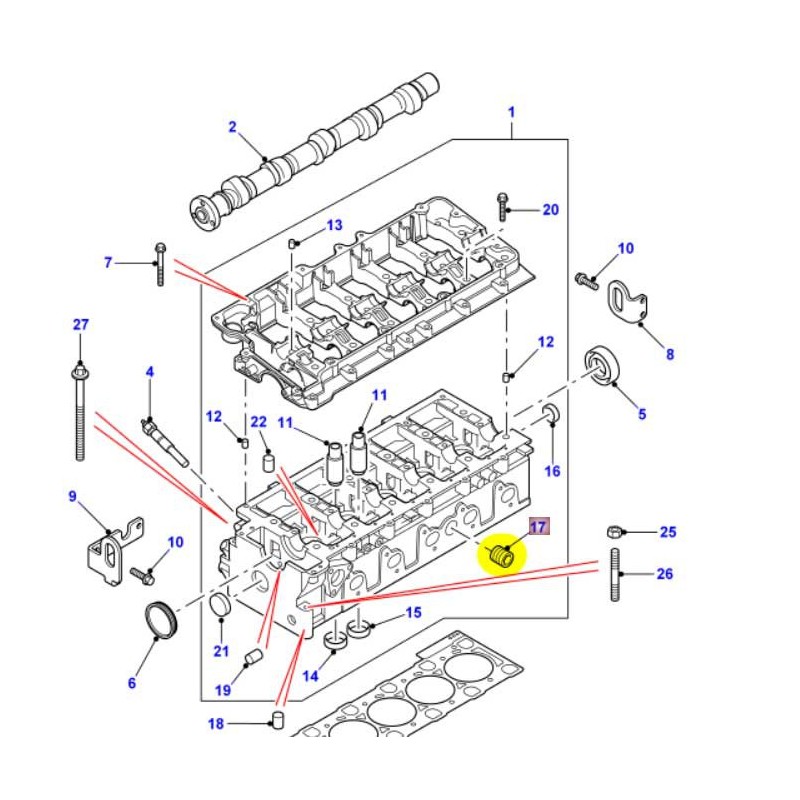 PLug water cylinder head - TD5