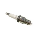 Spark plug 2.5L petrol & V8 with Magneti Marelli ignition