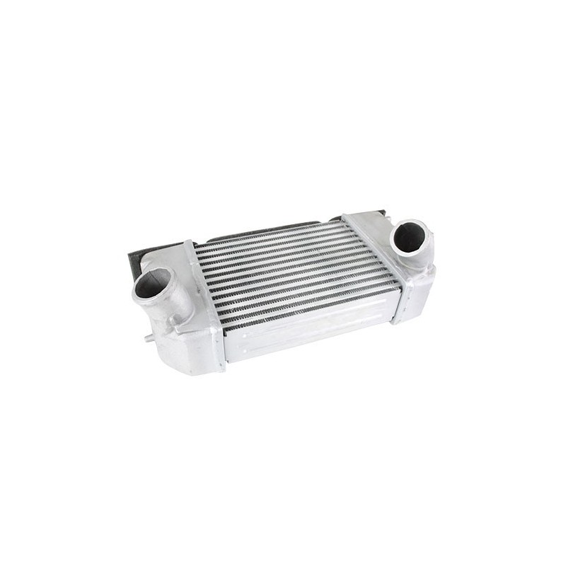 Intercooler 300TDi