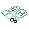 LT77 gasket set