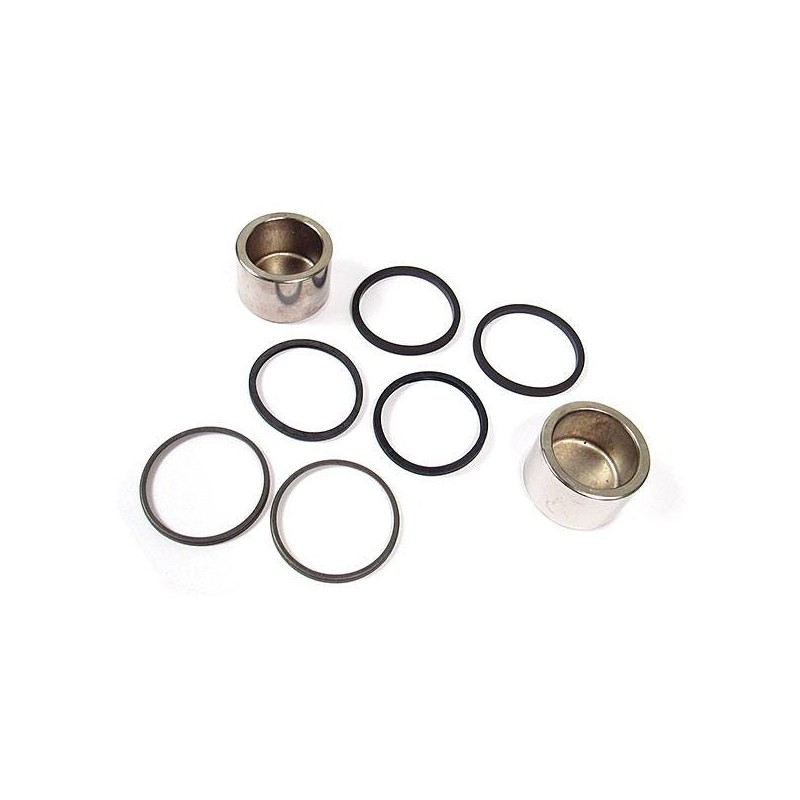 Pistons and seal repair kit - rear caliper