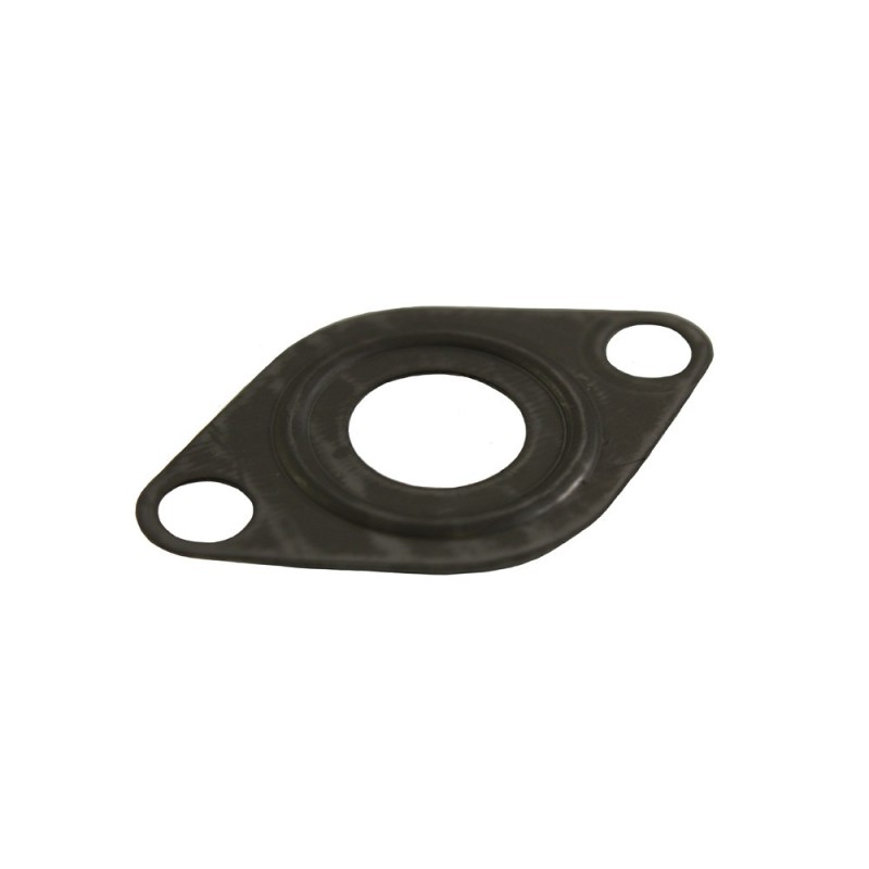 Oil drain gasket TD5