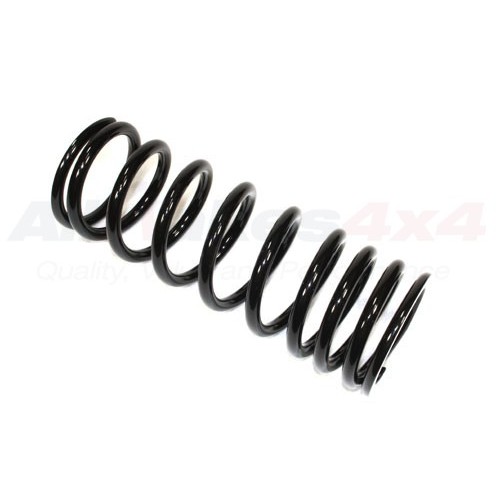 Coil spring rear
