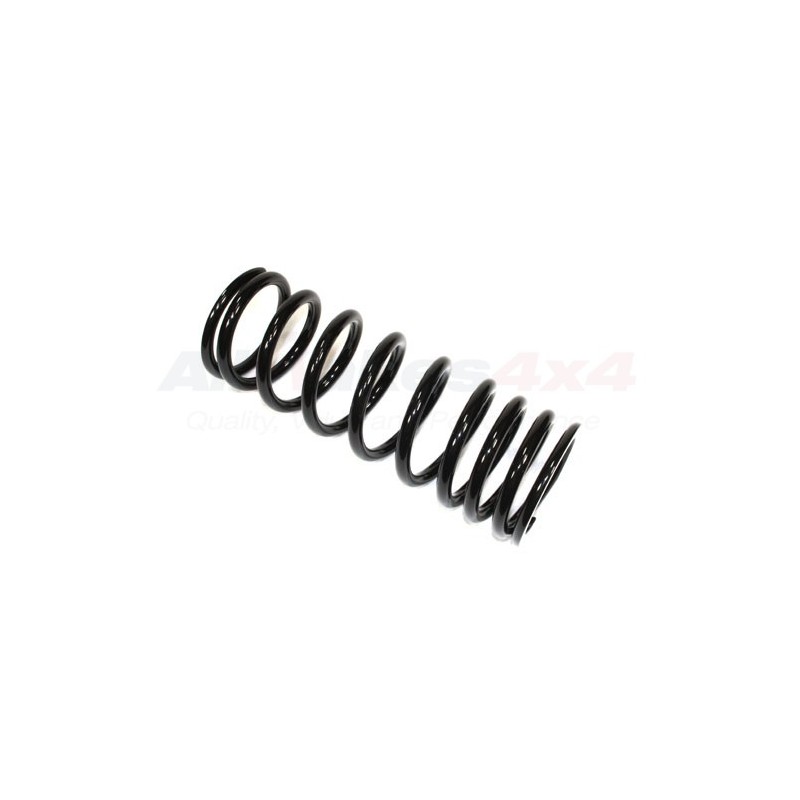Coil spring rear