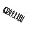 Coil spring rear