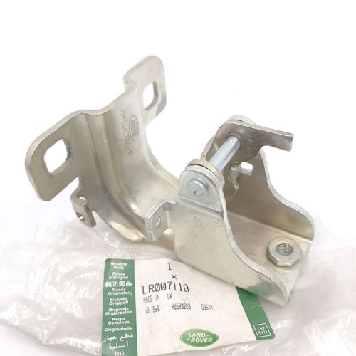 Hinge luggage compartment door