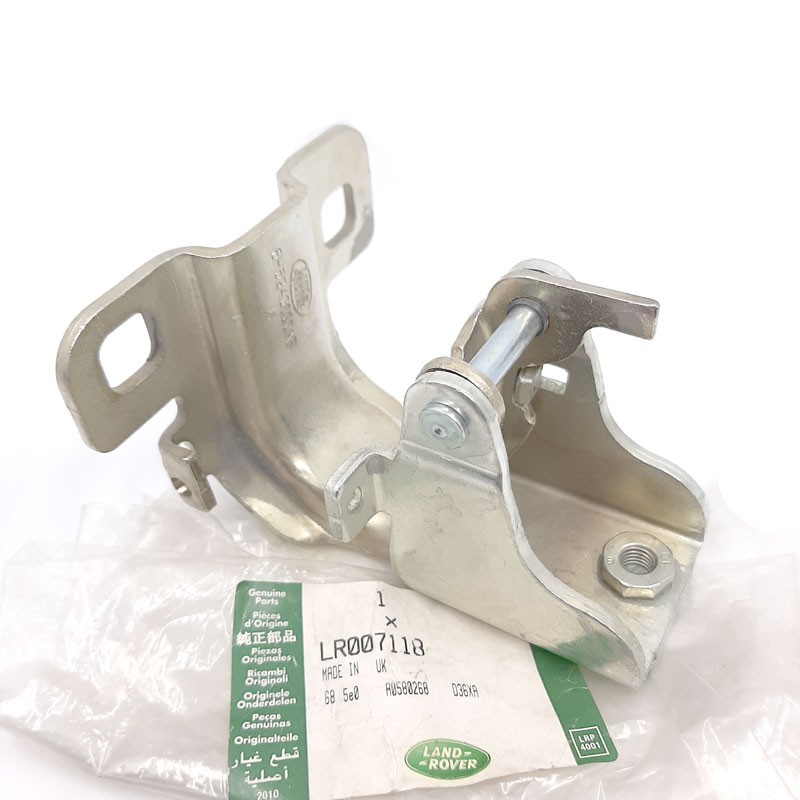 Hinge luggage compartment door