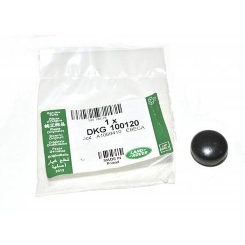 Cap - windscreen wiper spindle - Disco2