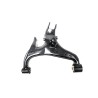Arm assy - Rear LH Suspension - lower