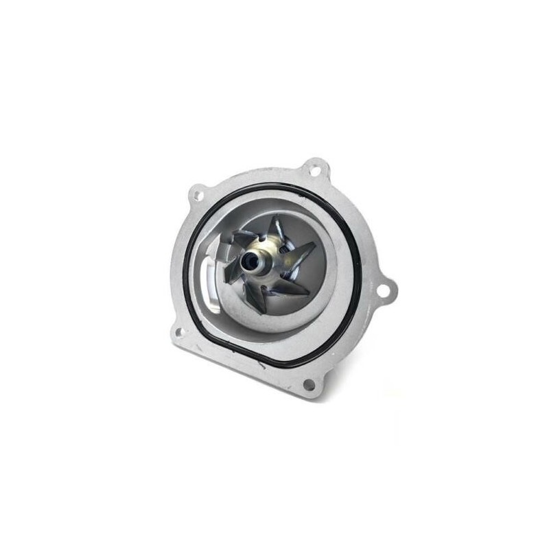 Water pump TD5