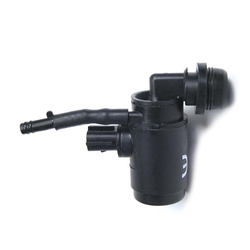 Pompe lave glace pare-brise P38