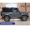 Lowered rear springs - pair