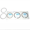 Set segments pour 1 piston 3.9L V8 - standard