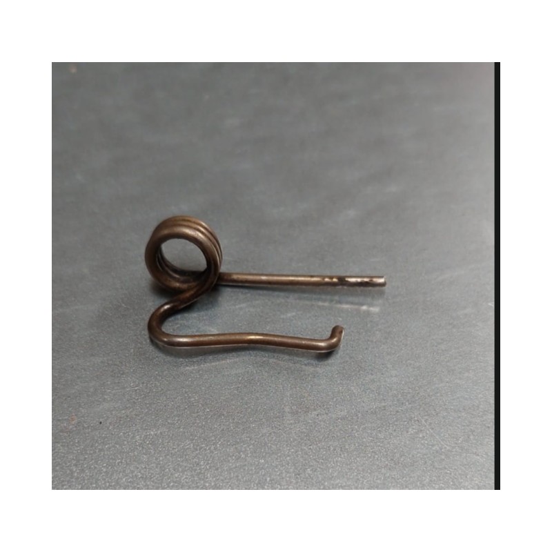 Spring fuel pump CAV