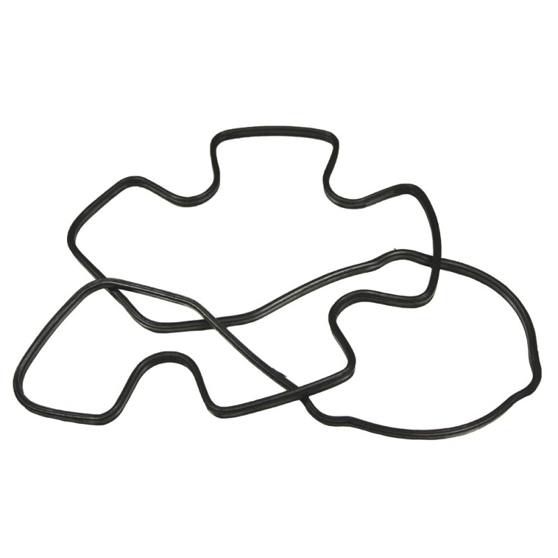 Joint cache culbuteurs 300TDi