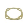 Gasket brake drum plate