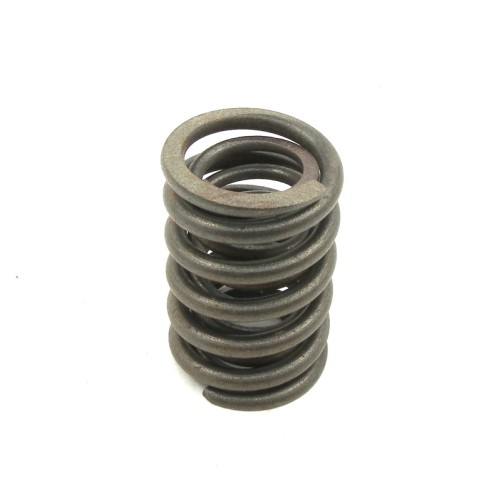 Valve spring