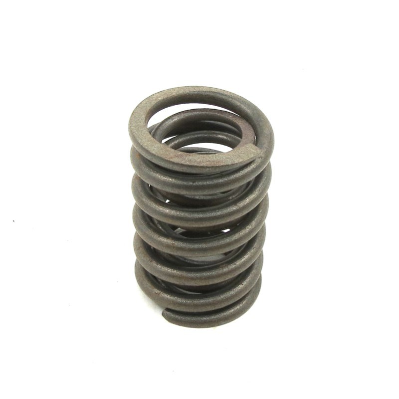 Valve spring