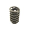 Valve spring