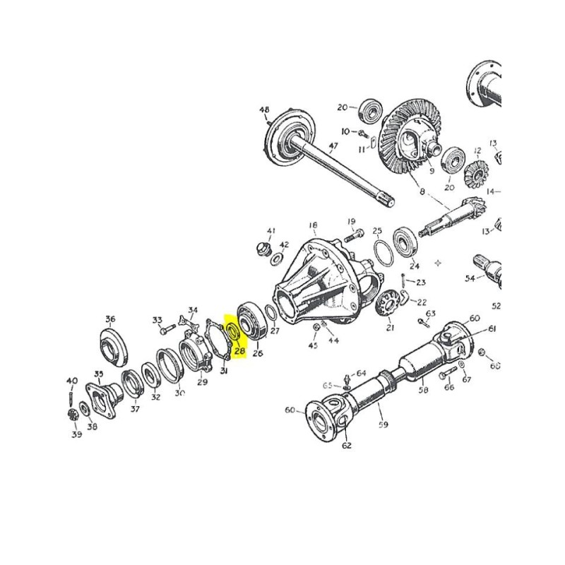 Washer for pinion bearing