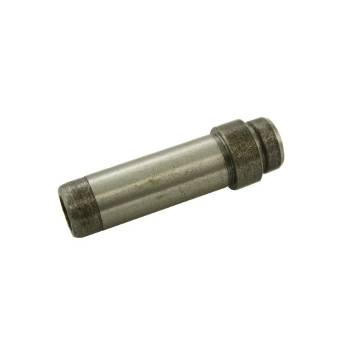 Exhaust guide valve diesel